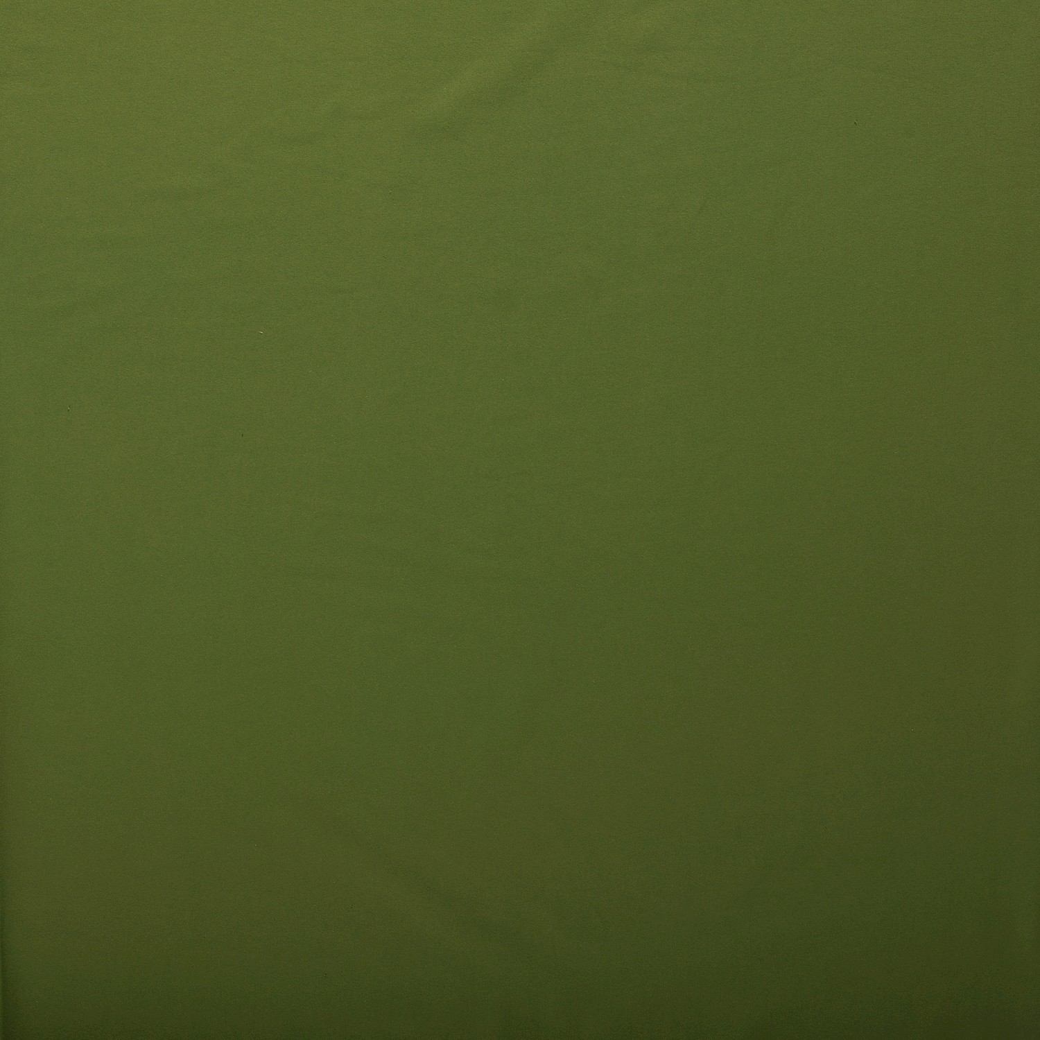 French Terry vert – Image 3