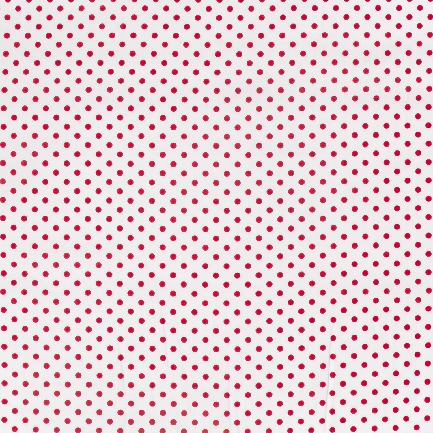 Popeline pois rouges fond blanc – Image 4