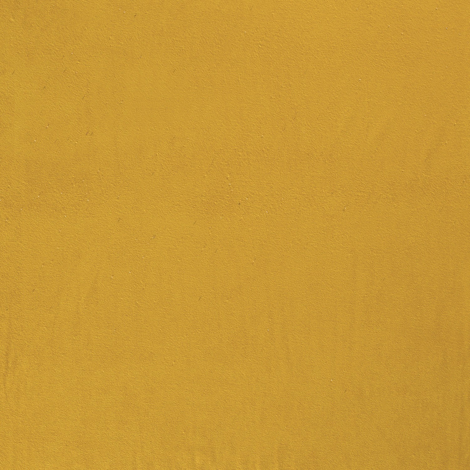 Eponge jaune – Image 4