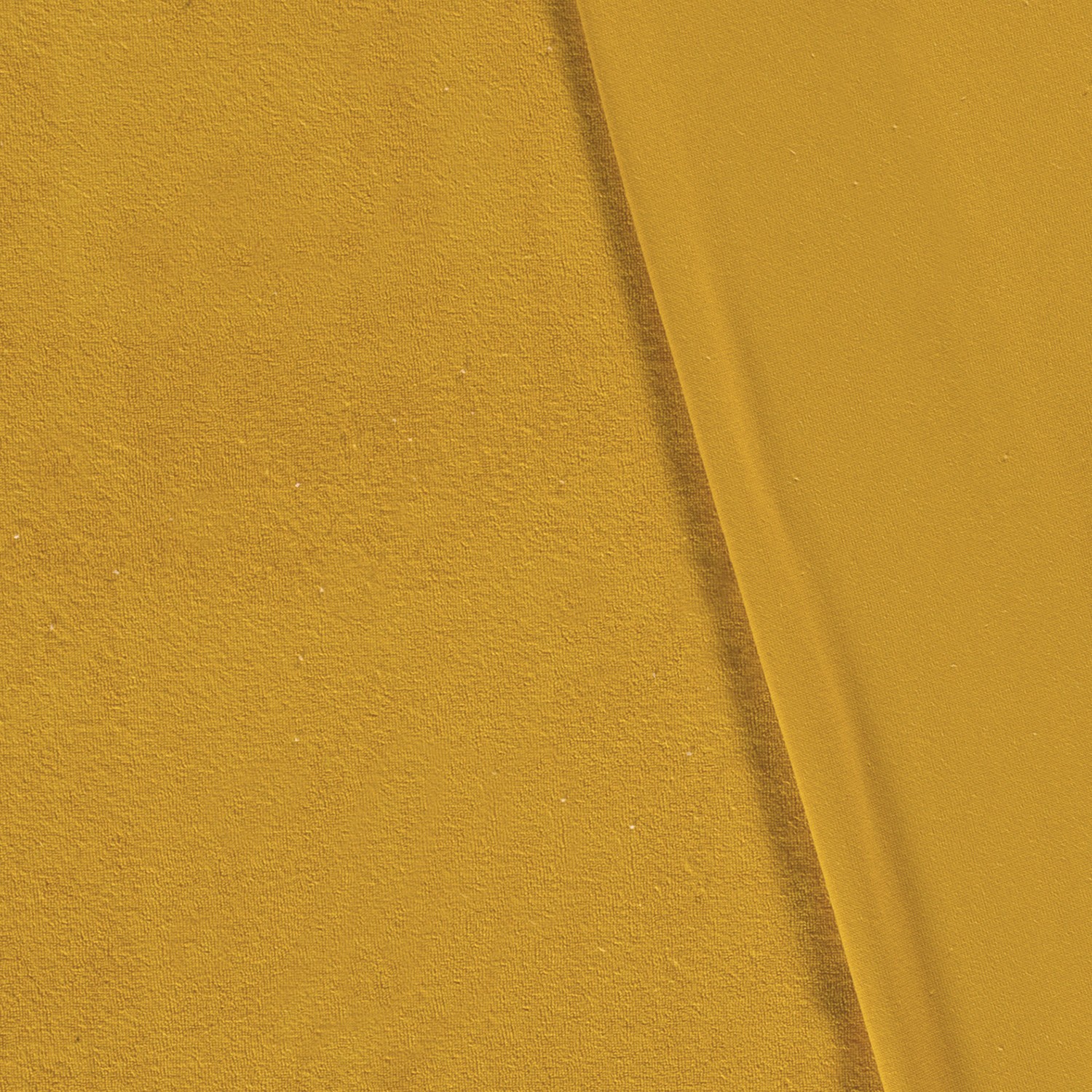 Eponge jaune – Image 2