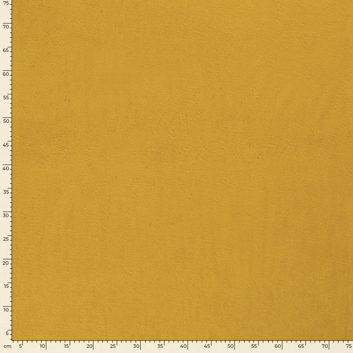 Eponge jaune – Image 5