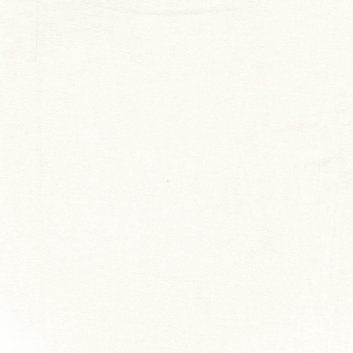 Eponge blanc cassé – Image 4