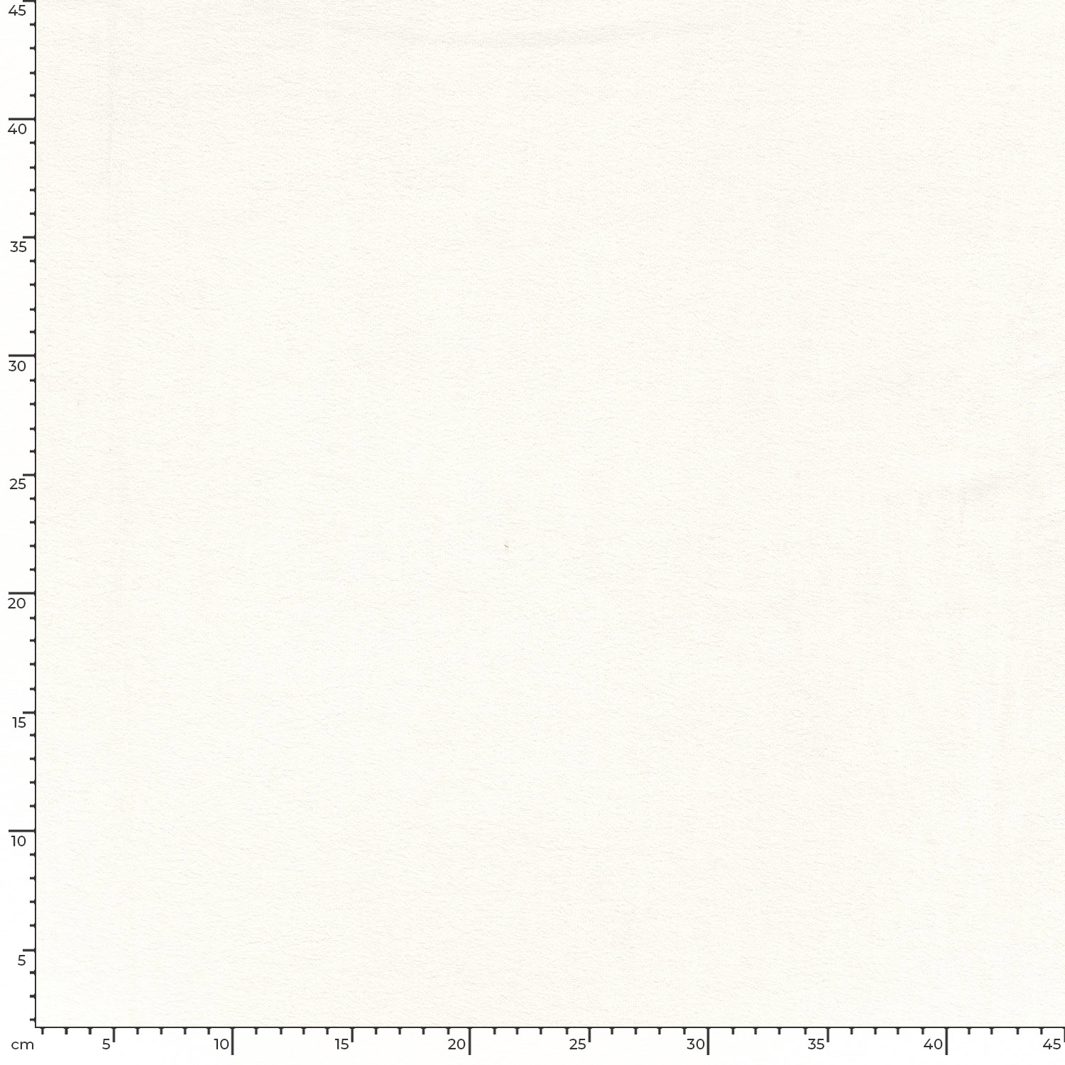 Eponge blanc cassé – Image 5