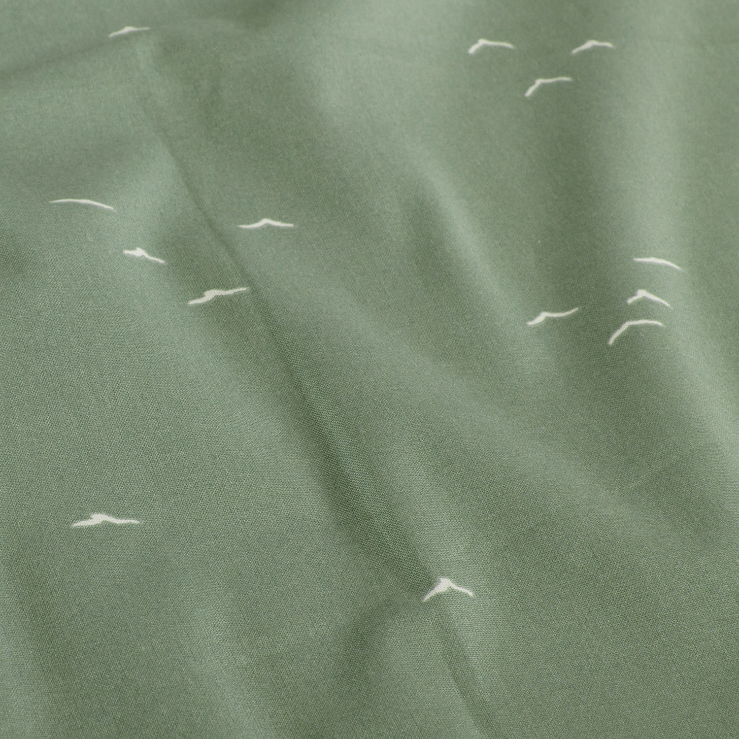 Popeline verte oiseaux