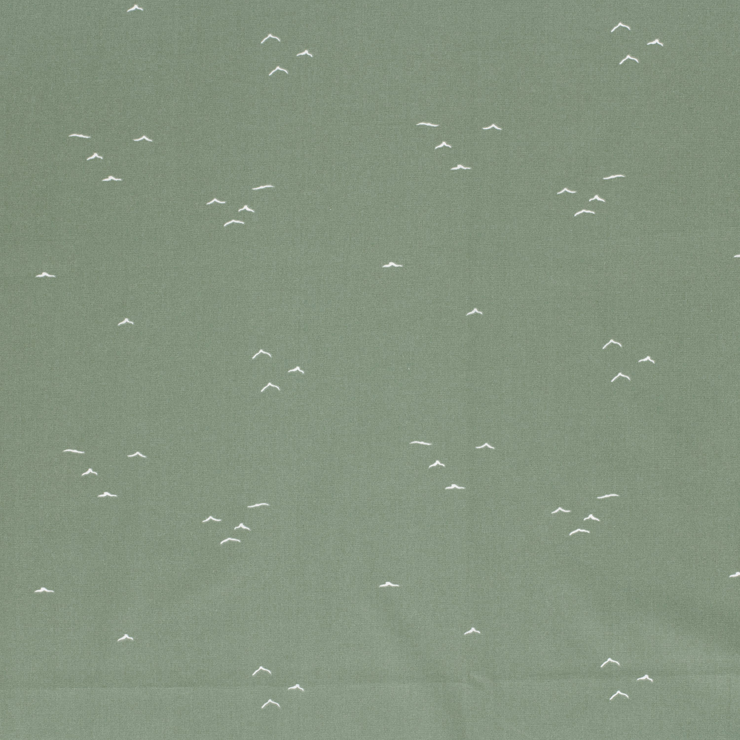 Popeline verte oiseaux – Image 4