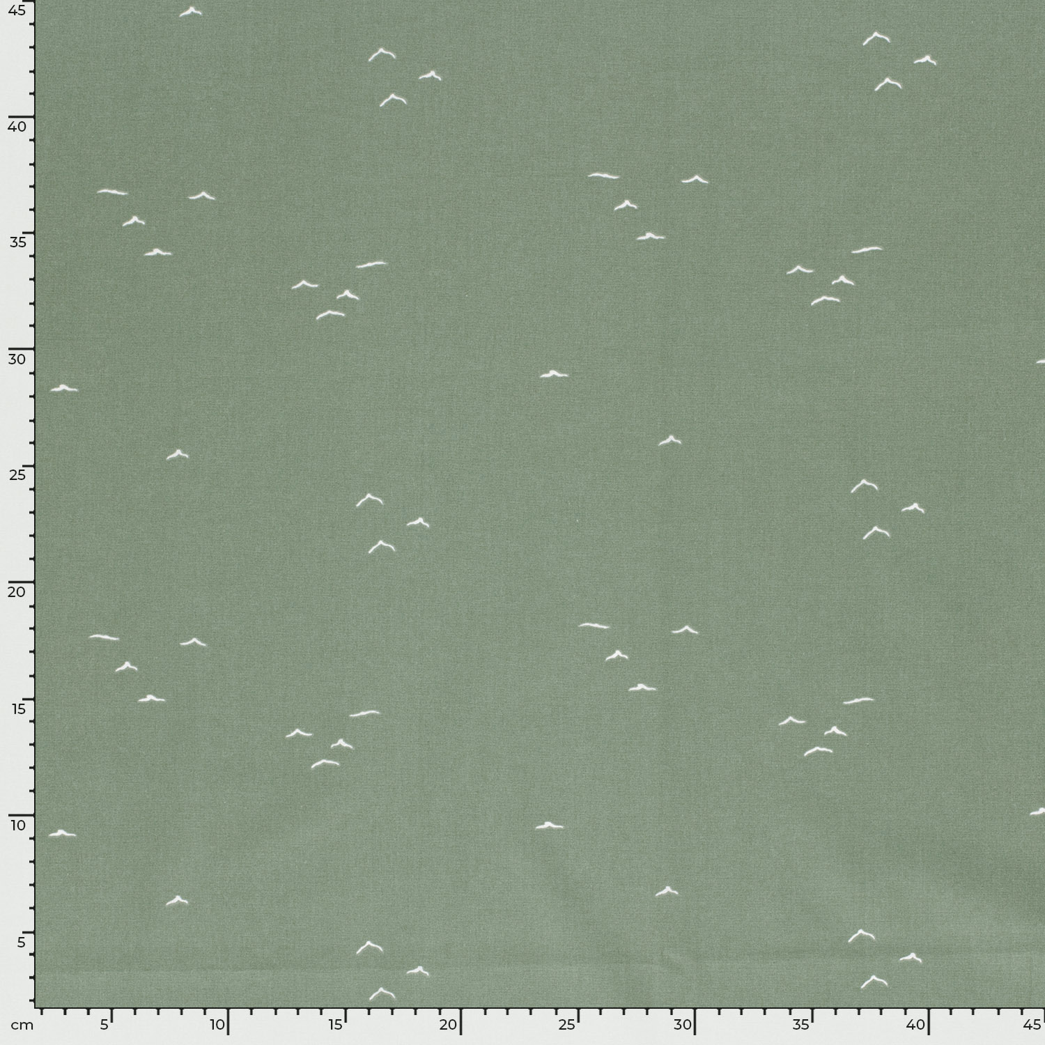 Popeline verte oiseaux – Image 5