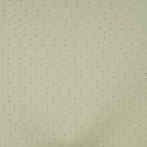 Coton brodé vert pâle