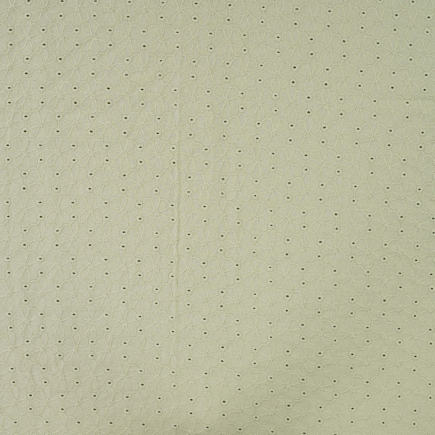 Coton brodé vert pâle