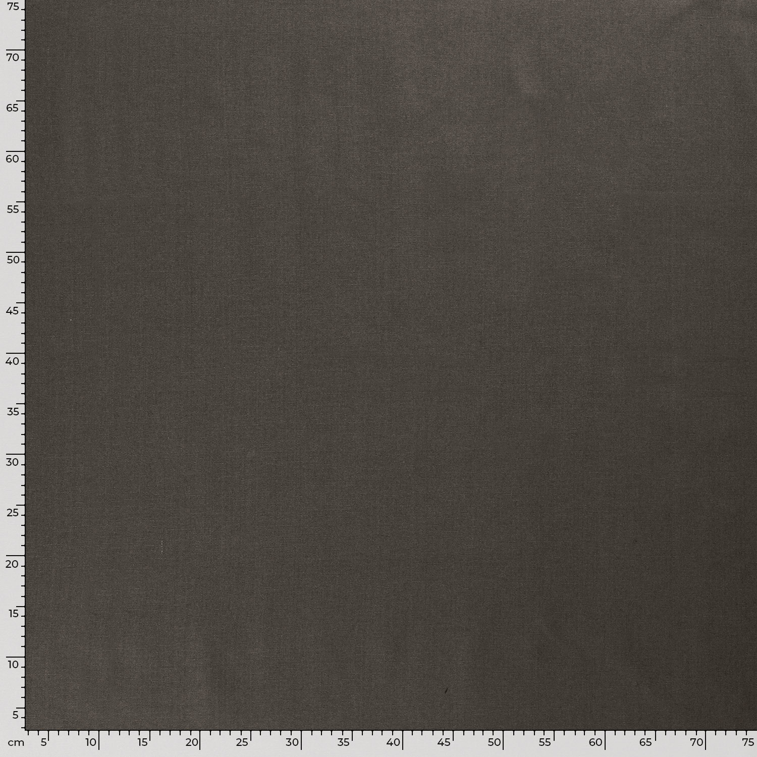 Canvas taupe – Image 5
