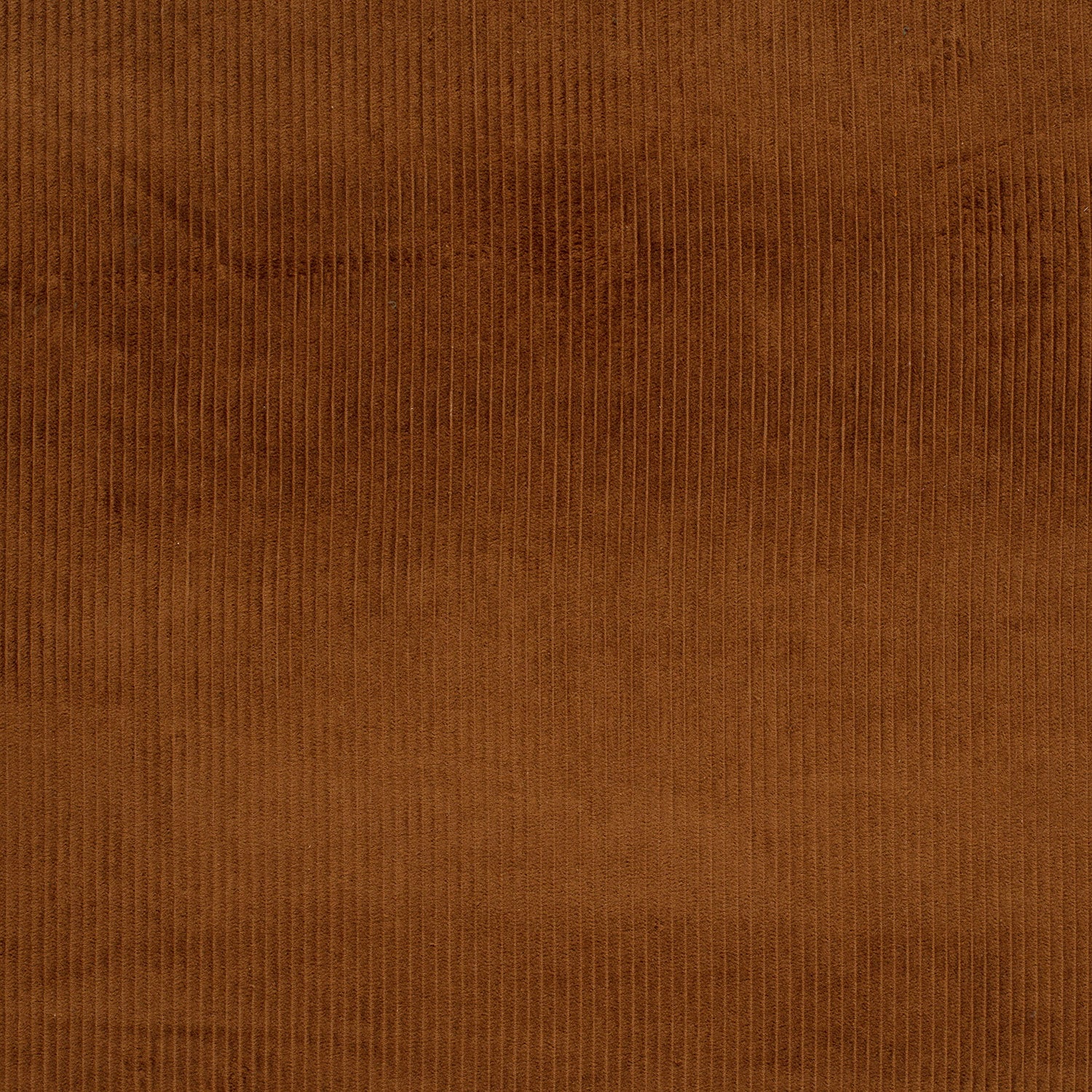Velours côtelé marron – Image 2